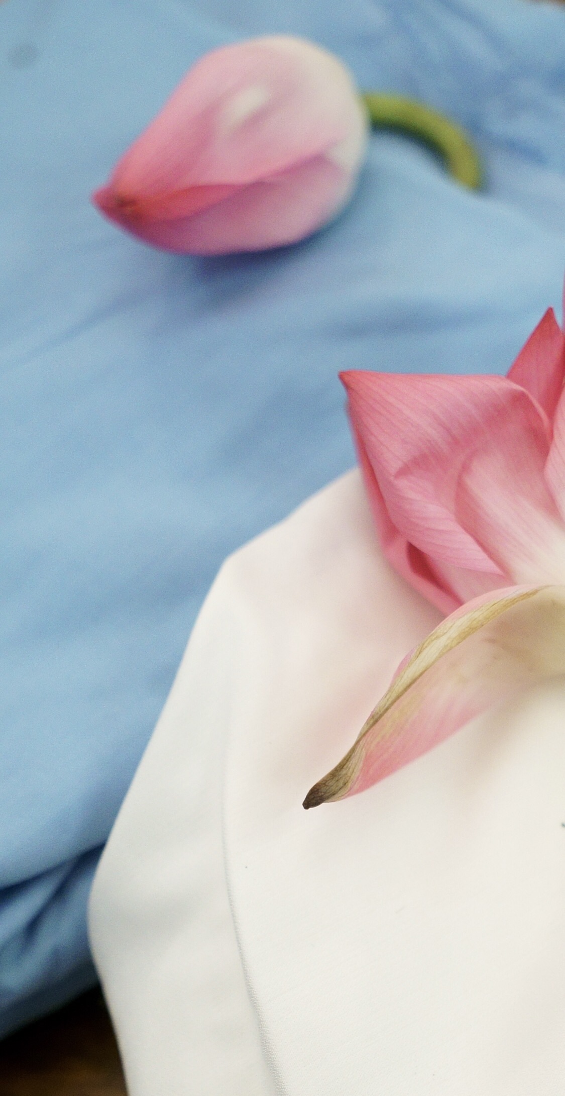 Unisex Tie