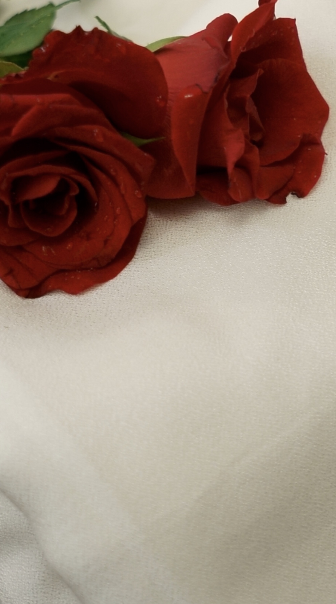 Unisex Tie